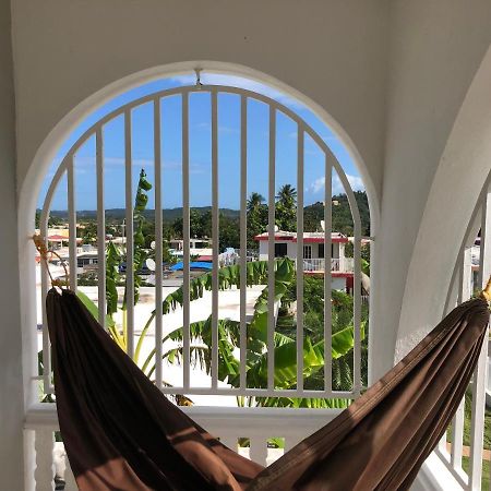 לוקווילו Jay'S Home By The Beach & Rainforest מראה חיצוני תמונה
